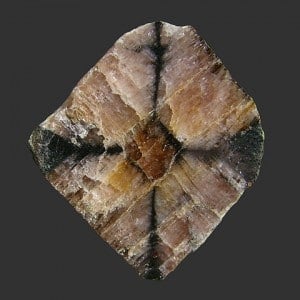 tranche brute d'andalousite (chiastolite)