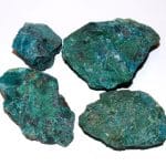 chrysocolles brutes